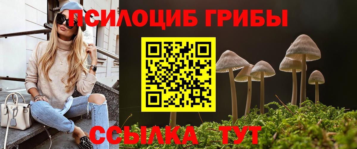 Псилоцибиновые грибы Psilocybe Барабинск