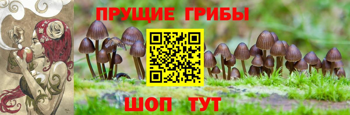Псилоцибиновые грибы Psilocybe  Вход с VPN  где купить наркоту  Барабинск 